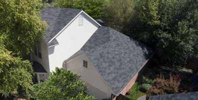 Professional Contractors