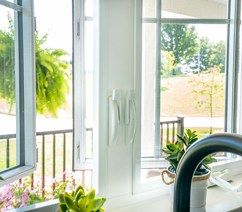 Various Window Types